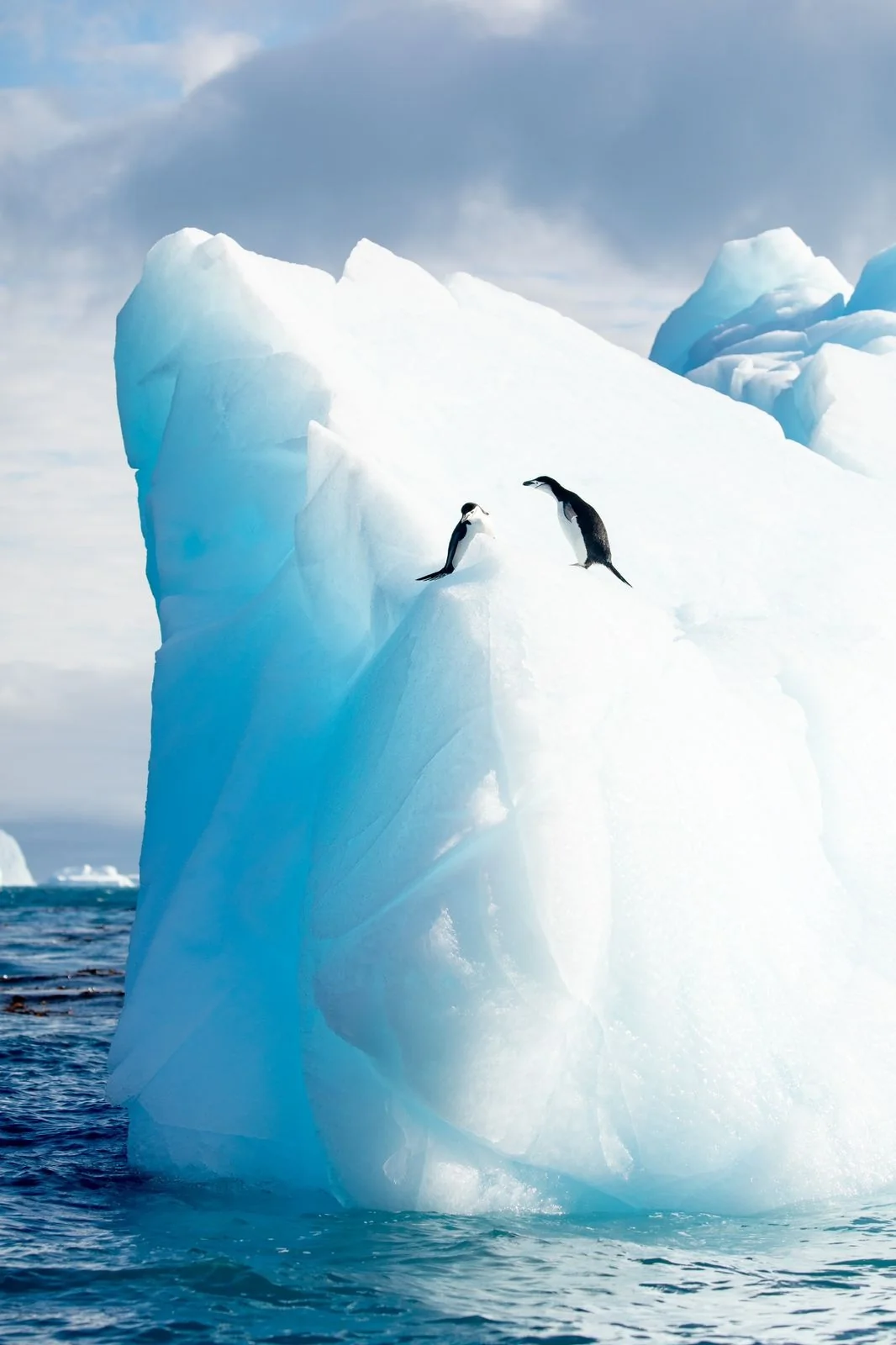 Two chinstrap penguins on blue Antarctic ice