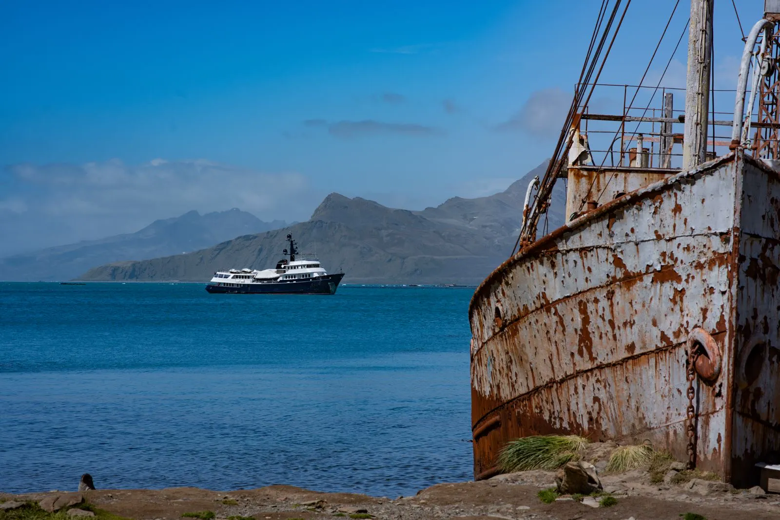 Grytviken whaling station, South Georgia